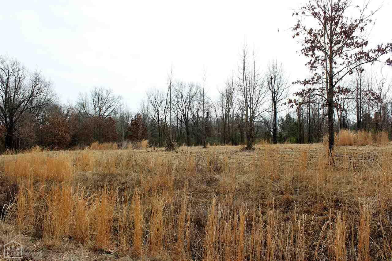 Property Photo:  Lot 10 Diamond Valley Estates Phase Ii  AR 72404 