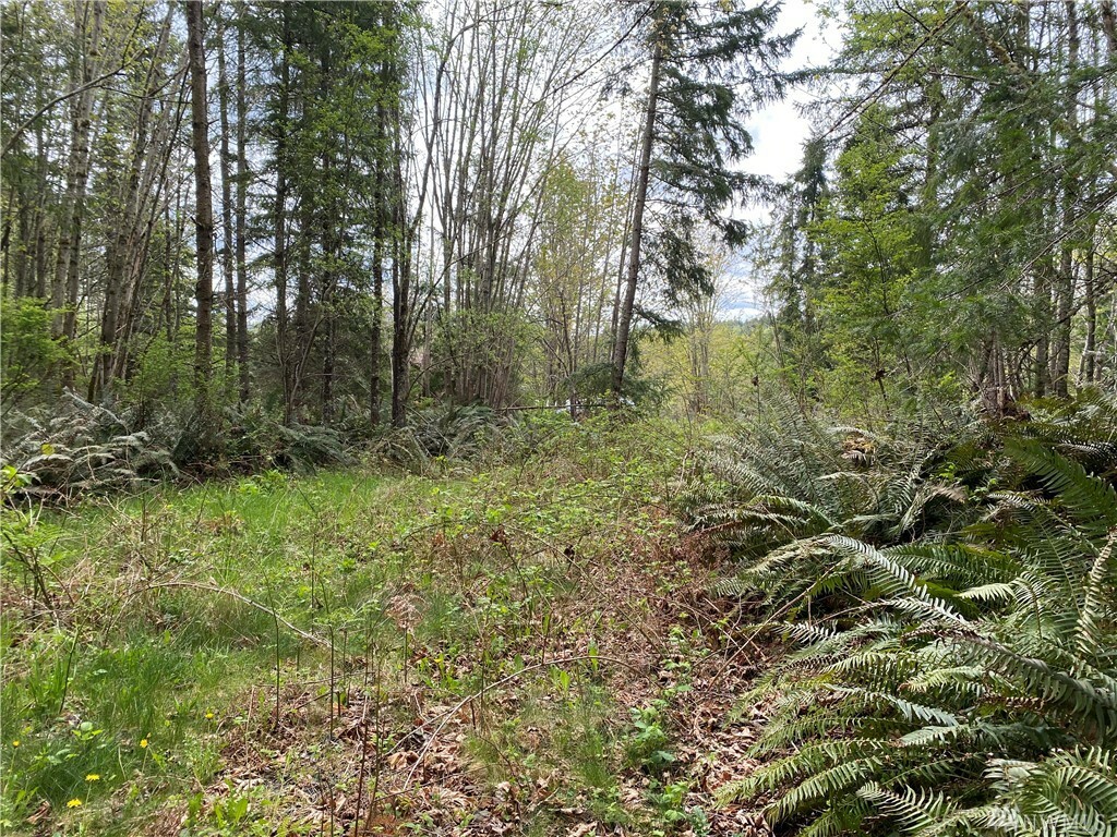 Property Photo:  16 X Country Ridge Dr  WA 98325 