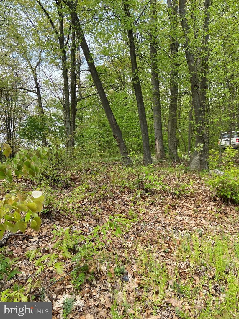 Property Photo:  47 Oley Road  PA 19522 