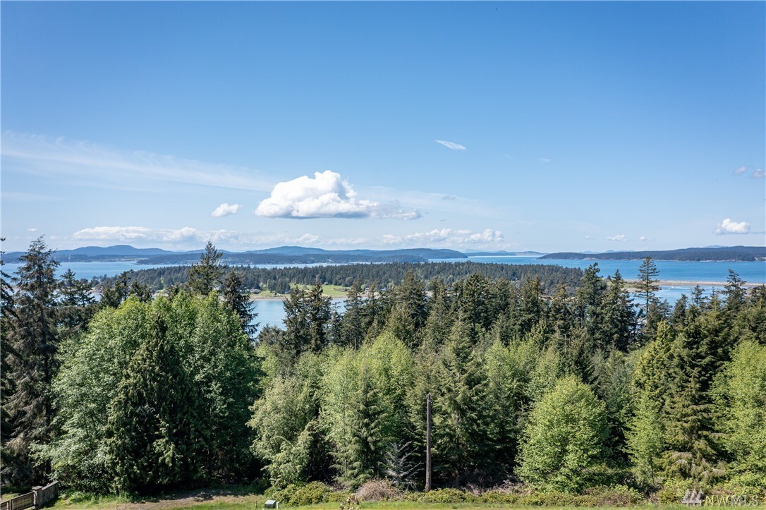 0 Dragon Run  Lopez Island WA 98261 photo