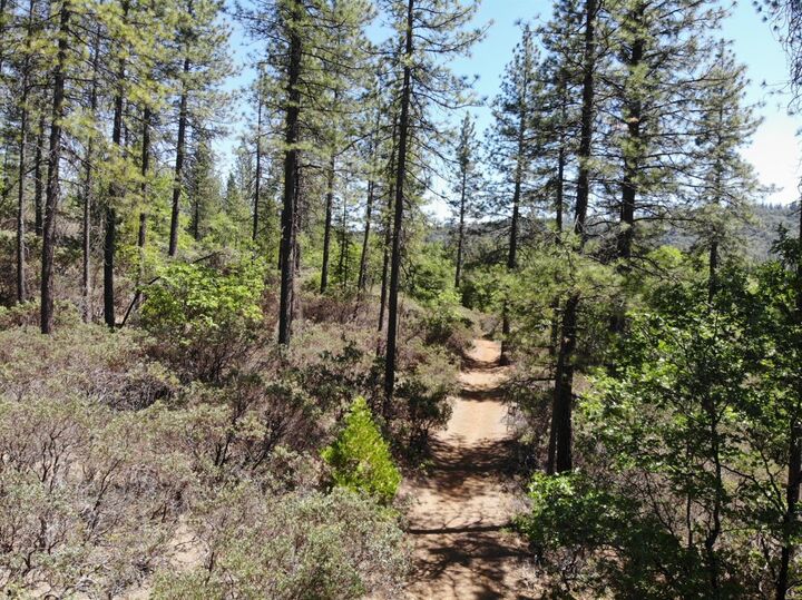 0 Newtown Road  Placerville CA 95667 photo