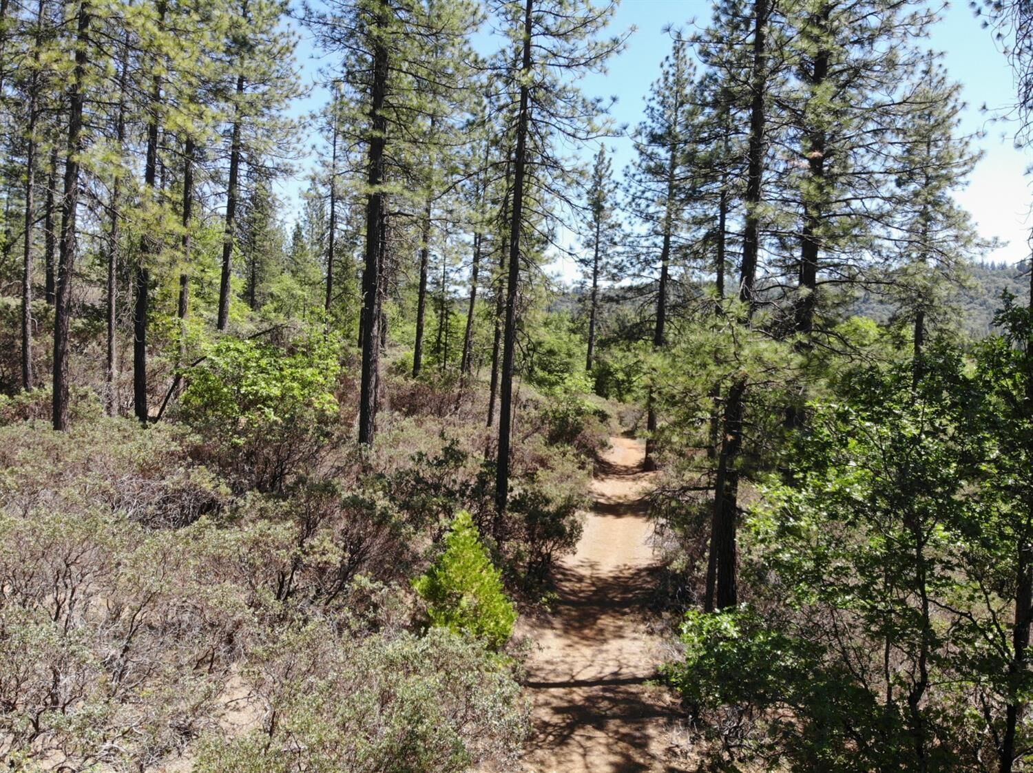 Property Photo: 0 Newtown Road CA 95667