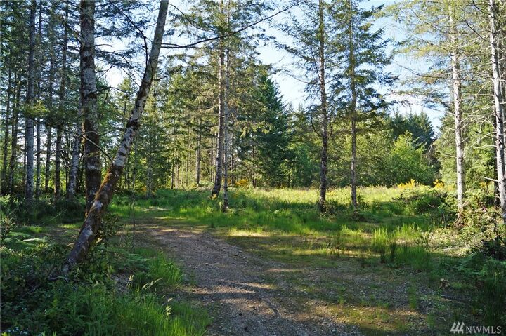 Property Photo: 10 E Jobes Ct WA 98546