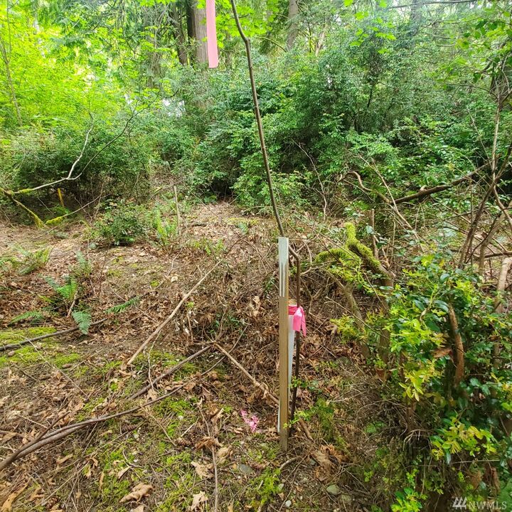 Property Photo:  568 E Pointes Dr W  WA 98584 