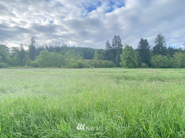 Property Photo: 0 B Ramsaur Road WA 98531