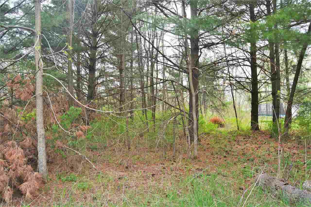 Property Photo:  .64 Ac County Line Rd  WI 53556 