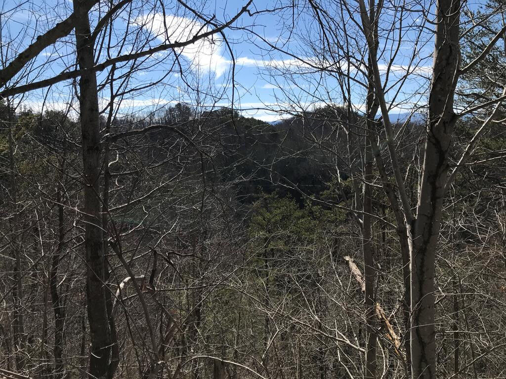 Property Photo: Sugar Maple Loop Road TN 37862