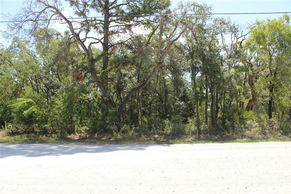 Property Photo:  11193 Mountain Mockingbird Road  FL 34614 