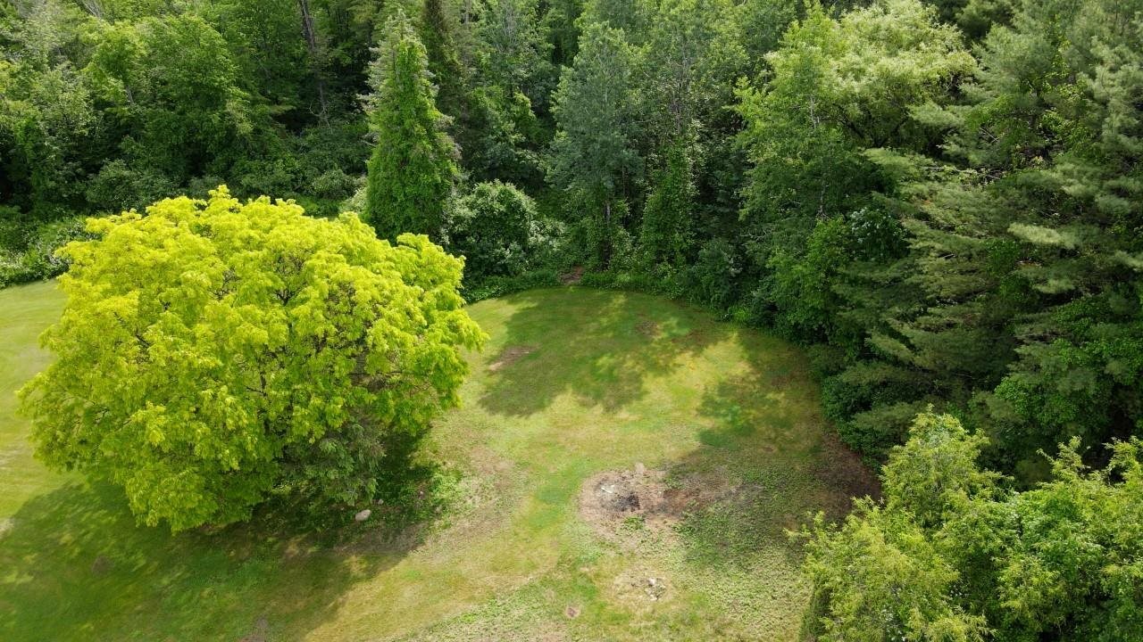 Property Photo: 49 Ladd Hill Road NH 03220