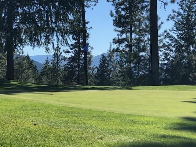 Property Photo:  Lot 1 Hogan Way  WA 99109 