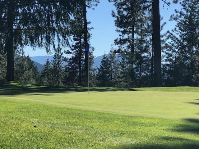 Lot 2 Hogan Way  Chewelah WA 99109 photo