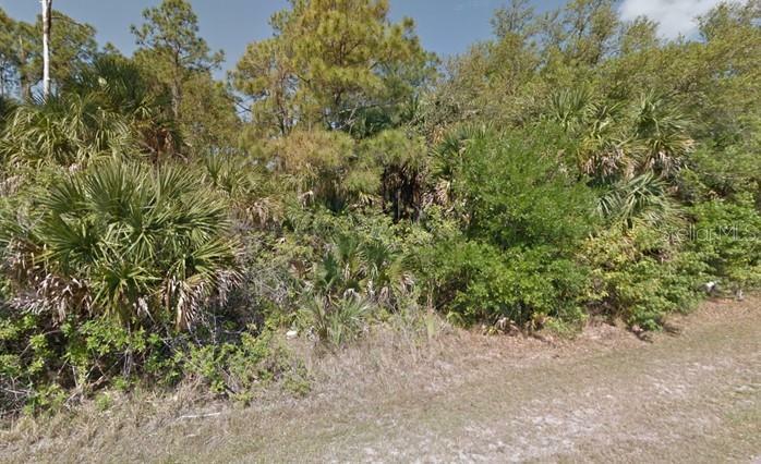 Property Photo:  3513 Felix Street  FL 33948 