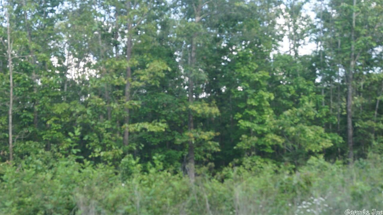 Property Photo: Turkey Springs Road AR 72542