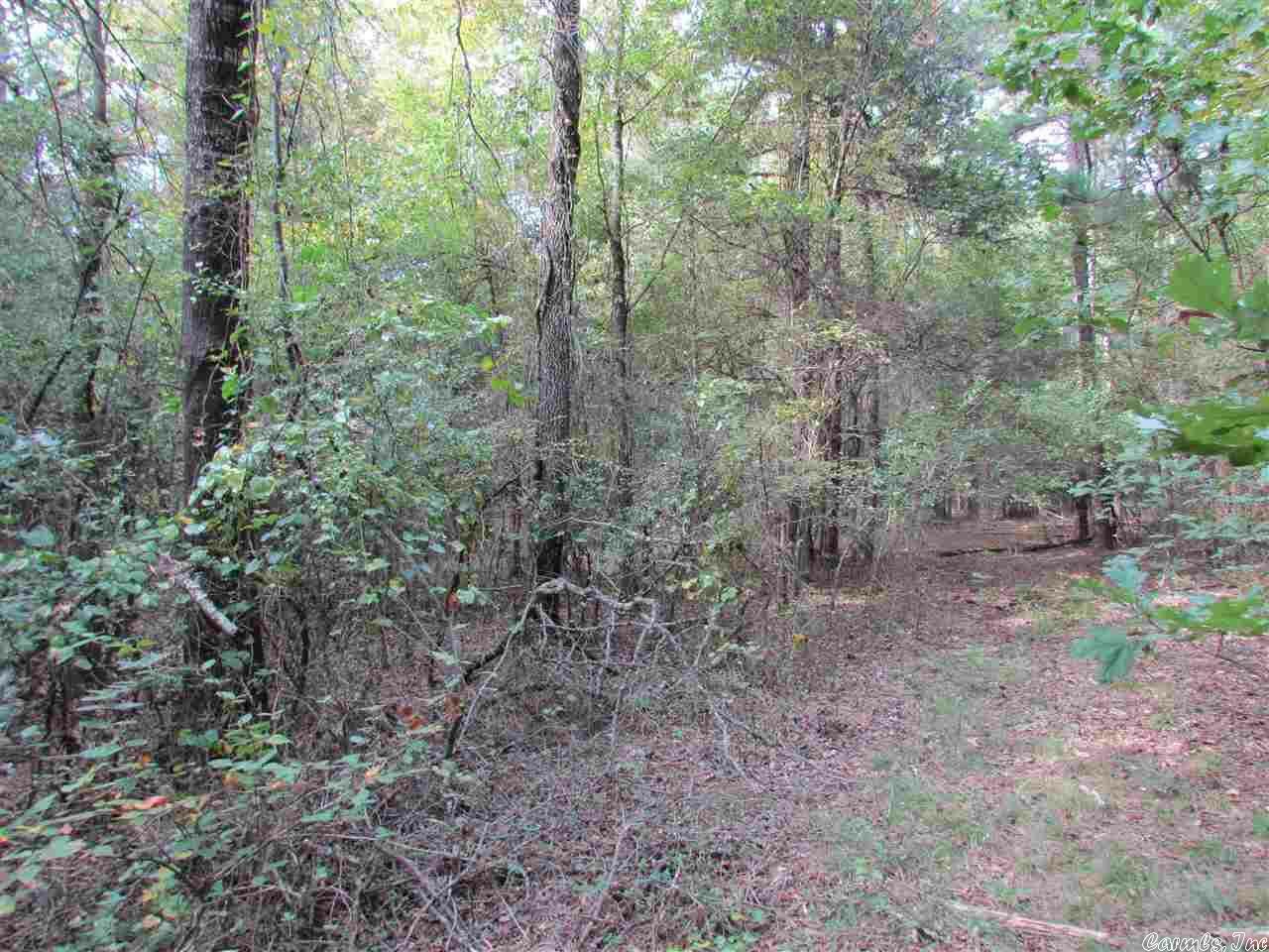 Lots 19 &Amp 20 Stephens Road Petit Jean Mountain Estates  Morrilton AR 72110 photo