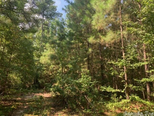 Property Photo: Lot 14 Oklahoma Inn Road AR 72015