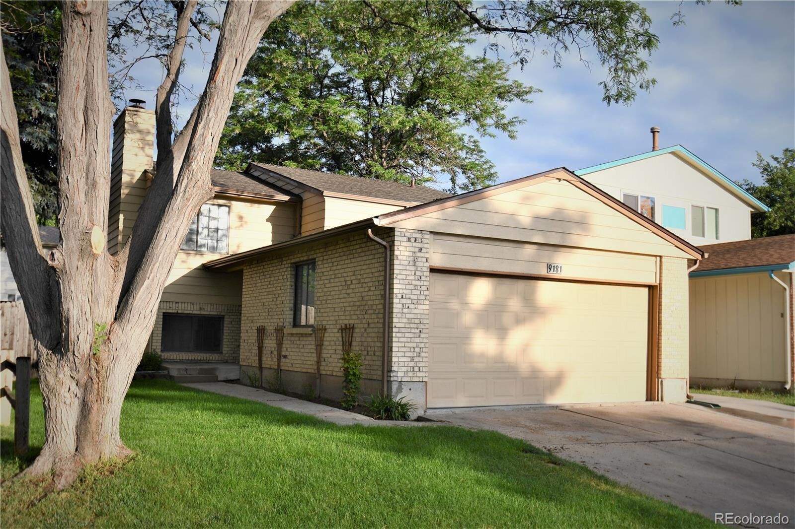 Property Photo:  9181 Newton Street  CO 80031 