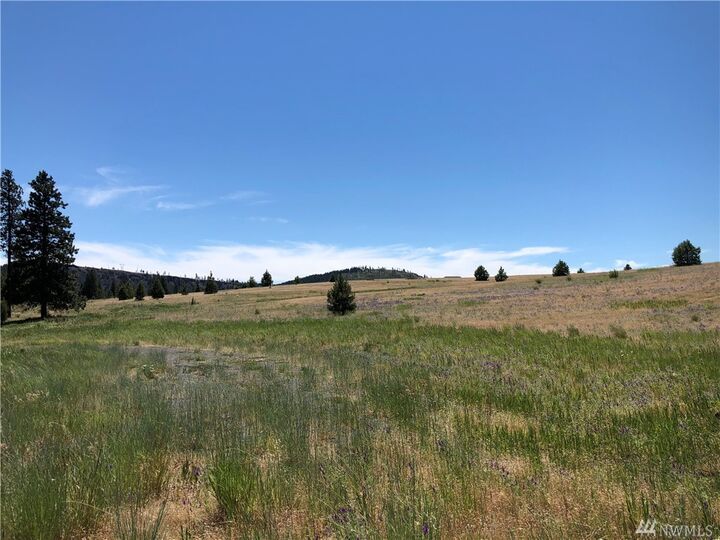 Property Photo: Xxx Mountain Creek Dr WA 98922