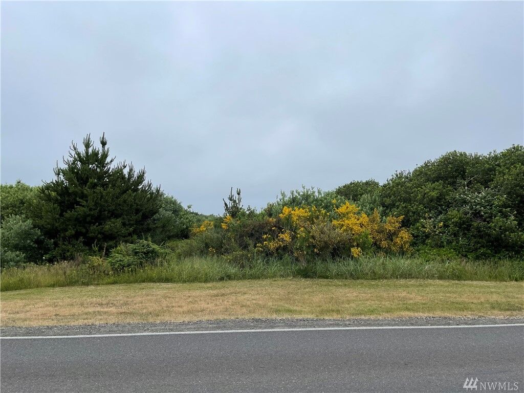 Property Photo:  409 Ocean Shores Blvd NW  WA 98569 