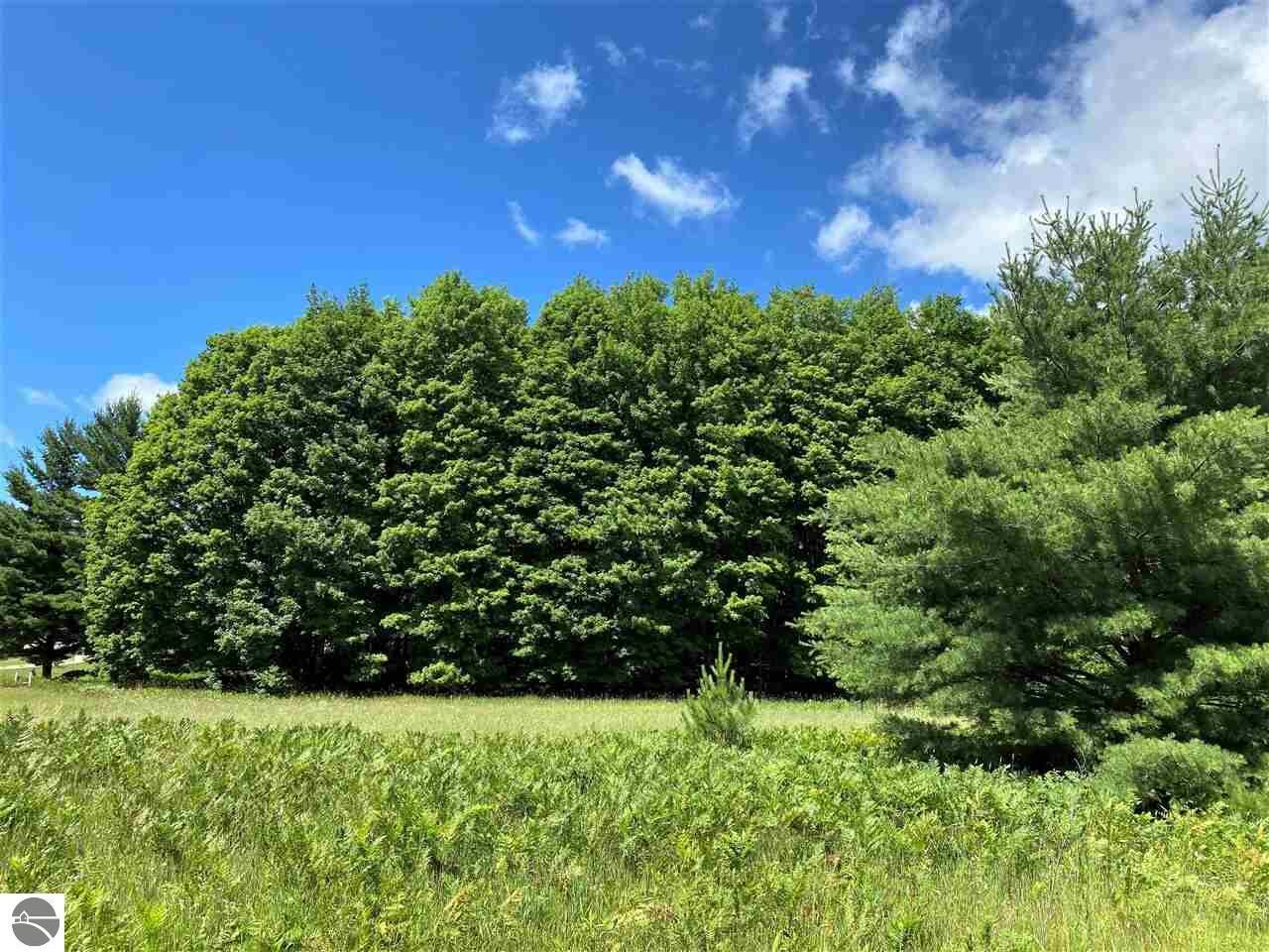 Property Photo: 0000 Plum Valley Road MI 49612