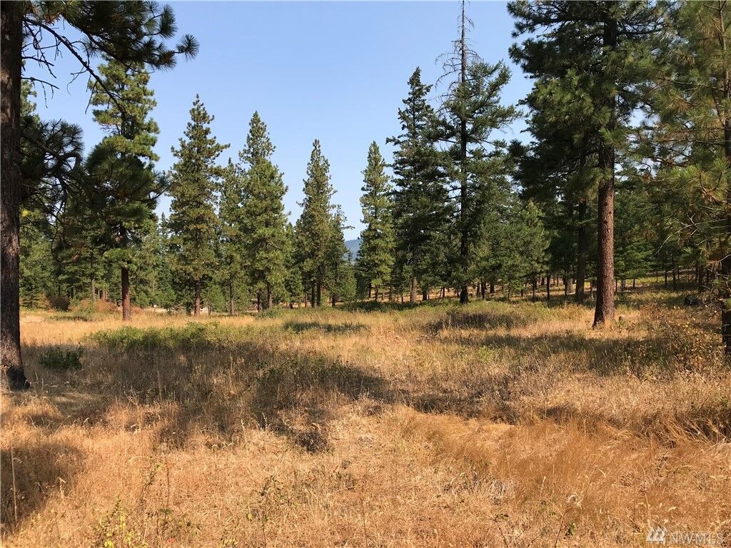 Property Photo: Lot F Masterson Rd WA 98922