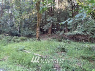 Property Photo:  1948 Island Drive NW  WA 98502 