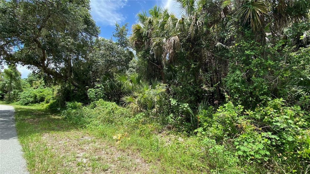 Property Photo:  Hungary Road  FL 34288 