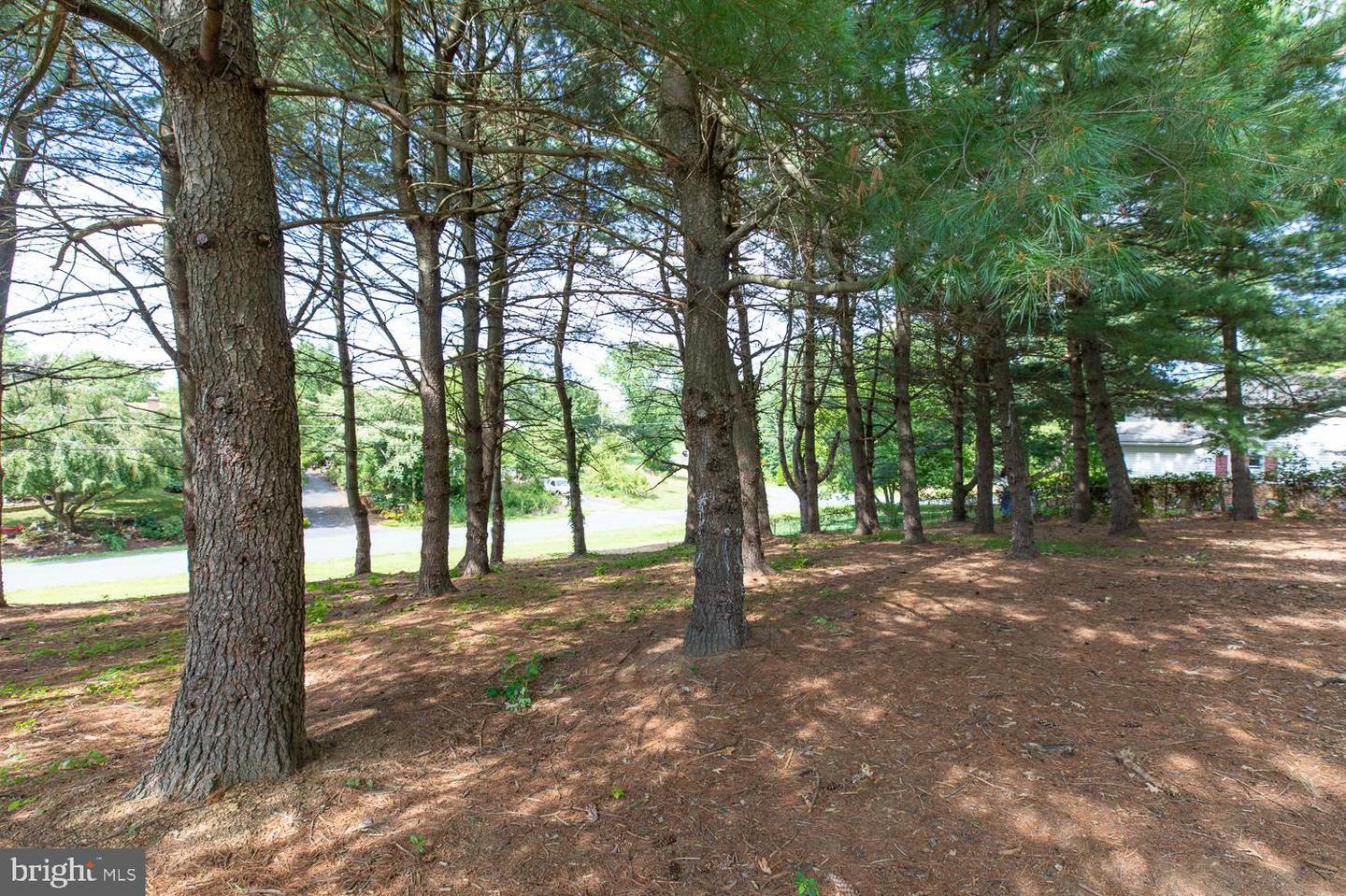 Property Photo:  Lot 40 Harvard Drive  VA 22602 