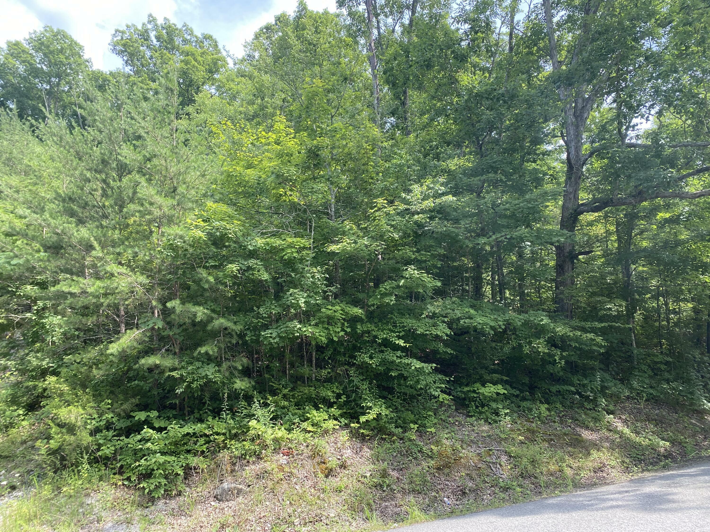 Property Photo:  Lake Drive Lot #4  TN 37729 