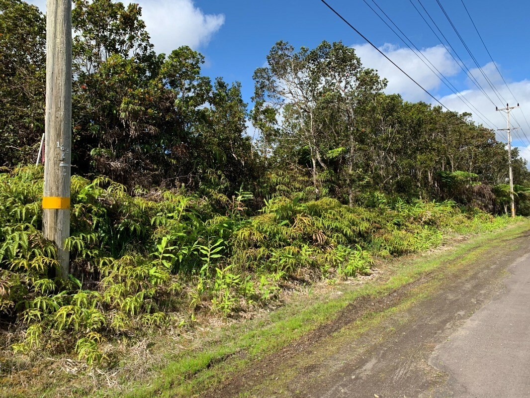 Property Photo:  11-3127 Volcano Rd  HI 96785 