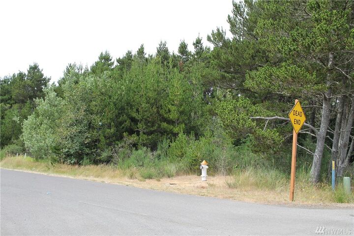 1 Driftwood Lane  Westport WA 98595 photo