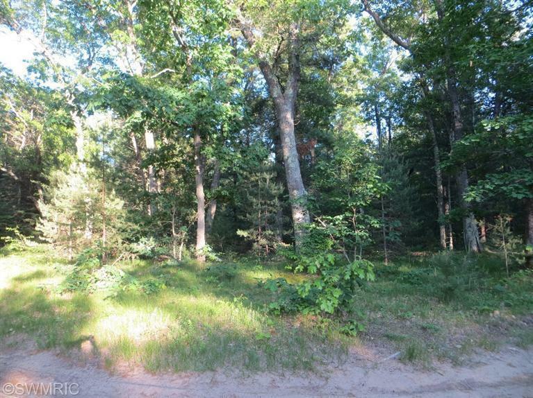 Property Photo:  Raymond Road  MI 49425 