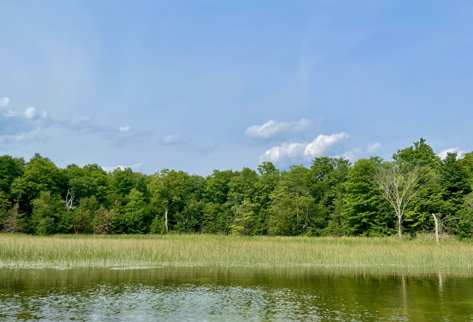 Property Photo:  403 Guenther Ridge  MI 49735 