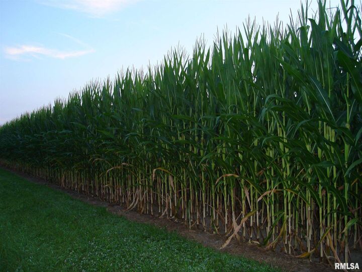 0 S Cameron  Peoria IL 61607 photo