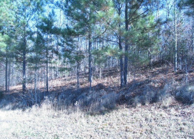 Property Photo:  00 Tipi Lane  GA 30705 