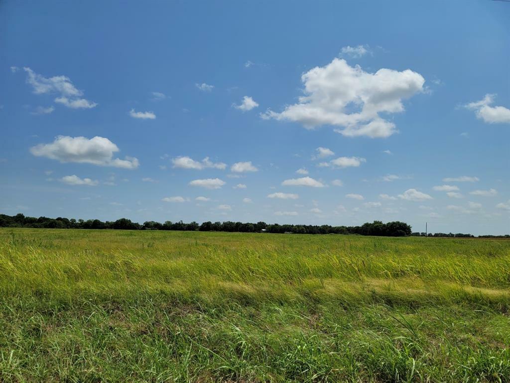 Property Photo:  Lot 2 County Rd 1245  TX 75479 