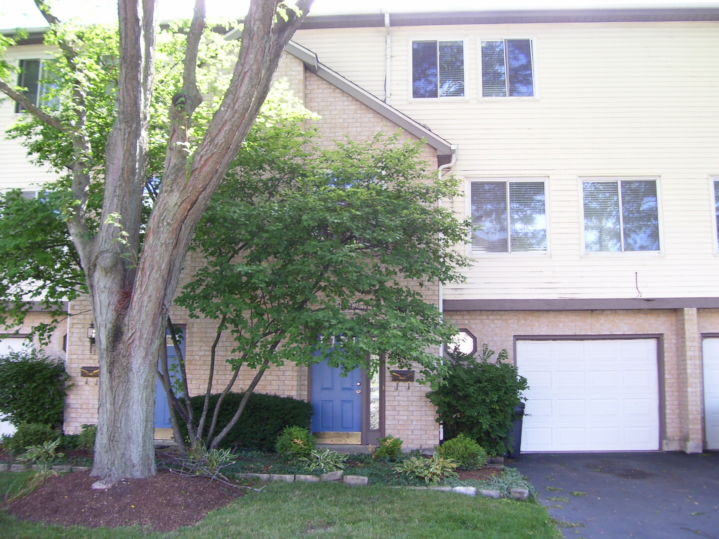 Property Photo: 1097 S Lorraine Road 4 IL 60187