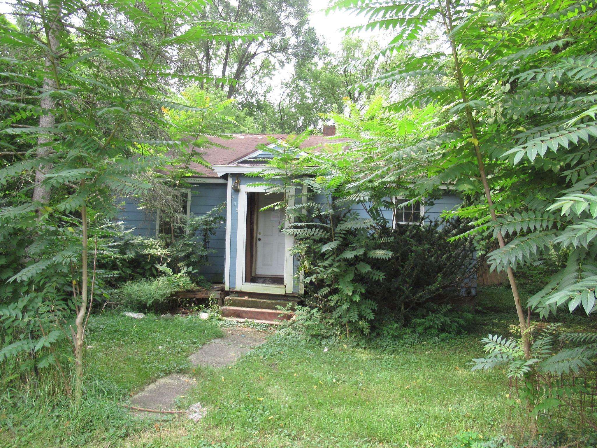 Property Photo:  285 Parish Street  MI 49037 