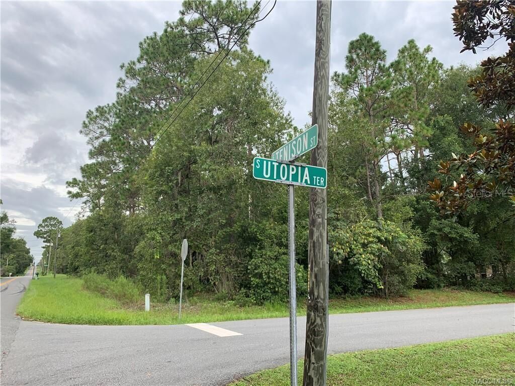Property Photo:  Lots 2 &Amp 3 SW 131st Street Road  FL 34473 