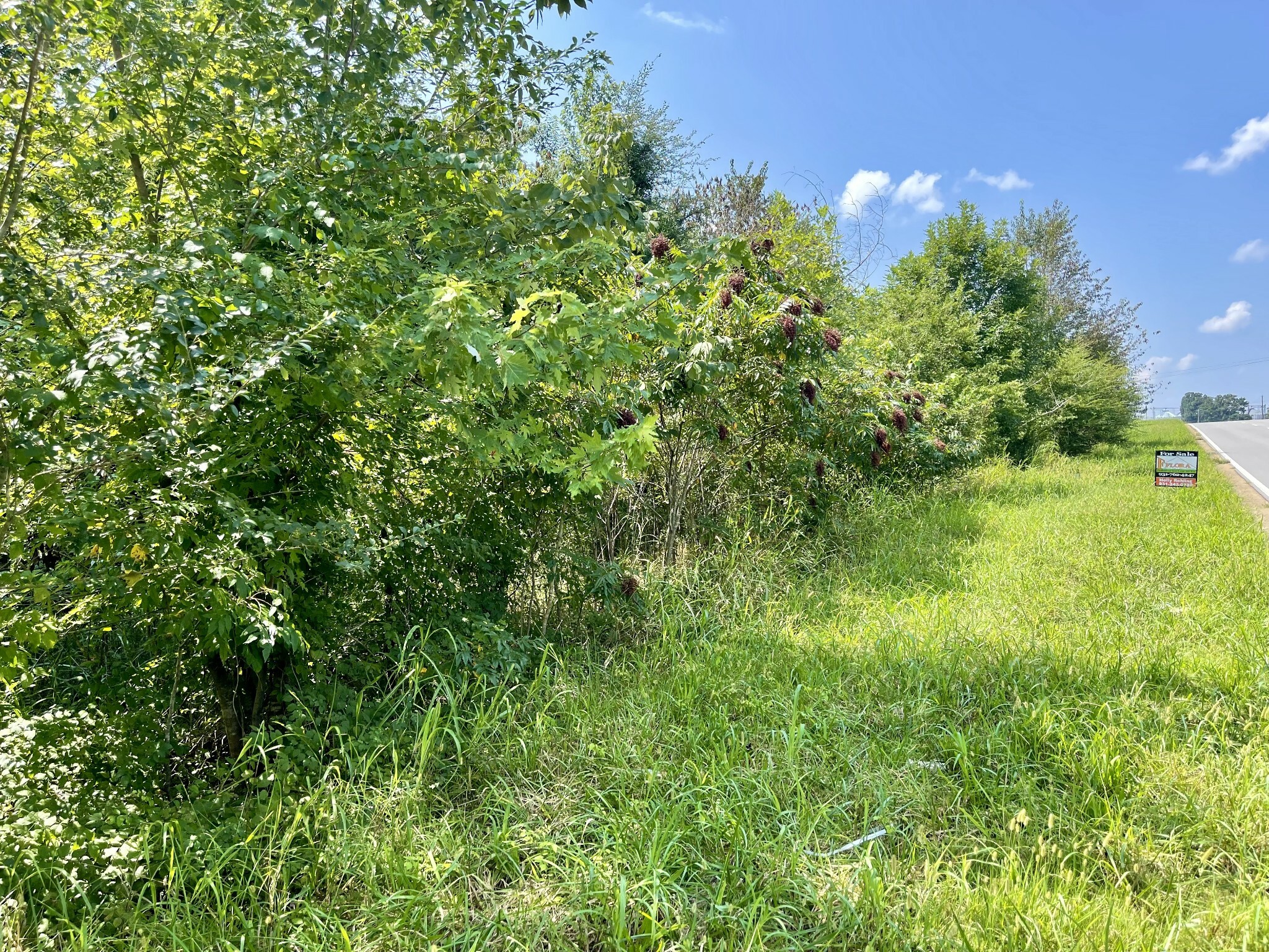 Property Photo: 0 Hwy 43 S TN 38481