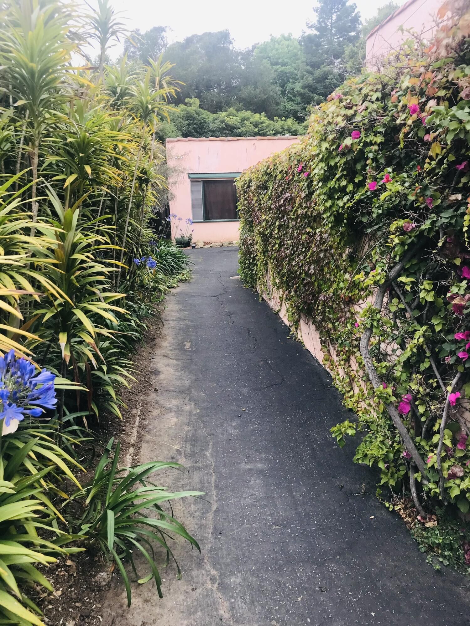 Property Photo:  269 Oak Rd  CA 93108 