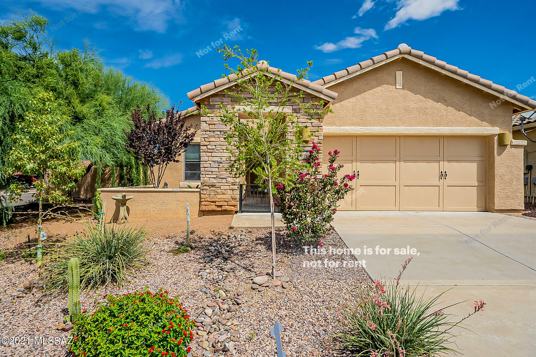 Property Photo:  1136 W Montelupo Drive  AZ 85737 