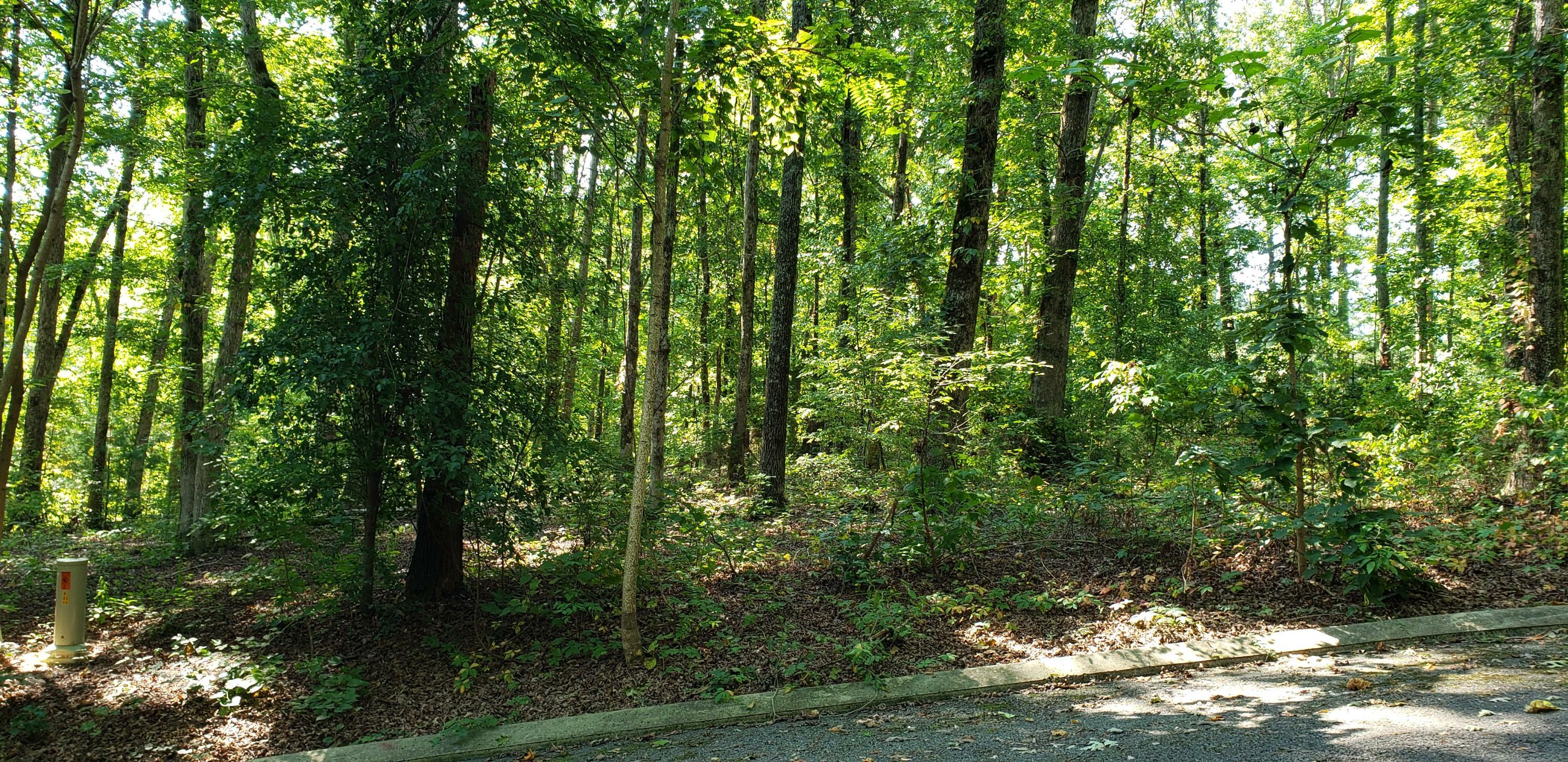 Property Photo:  0 Shady Oaks Cove  TN 37327 