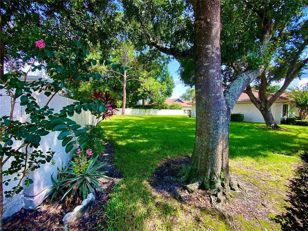 Property Photo:  18403 Aintree Court  FL 33647 