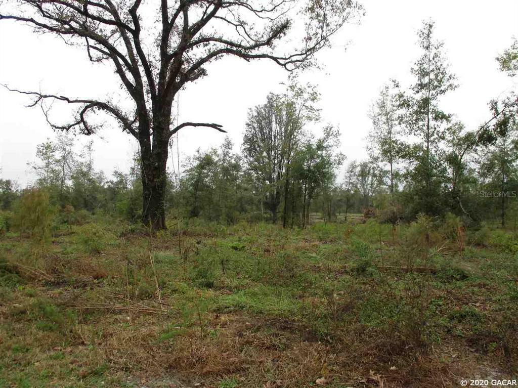 Property Photo:  Lot 2 Stonewood NW 234th Street  FL 32615 