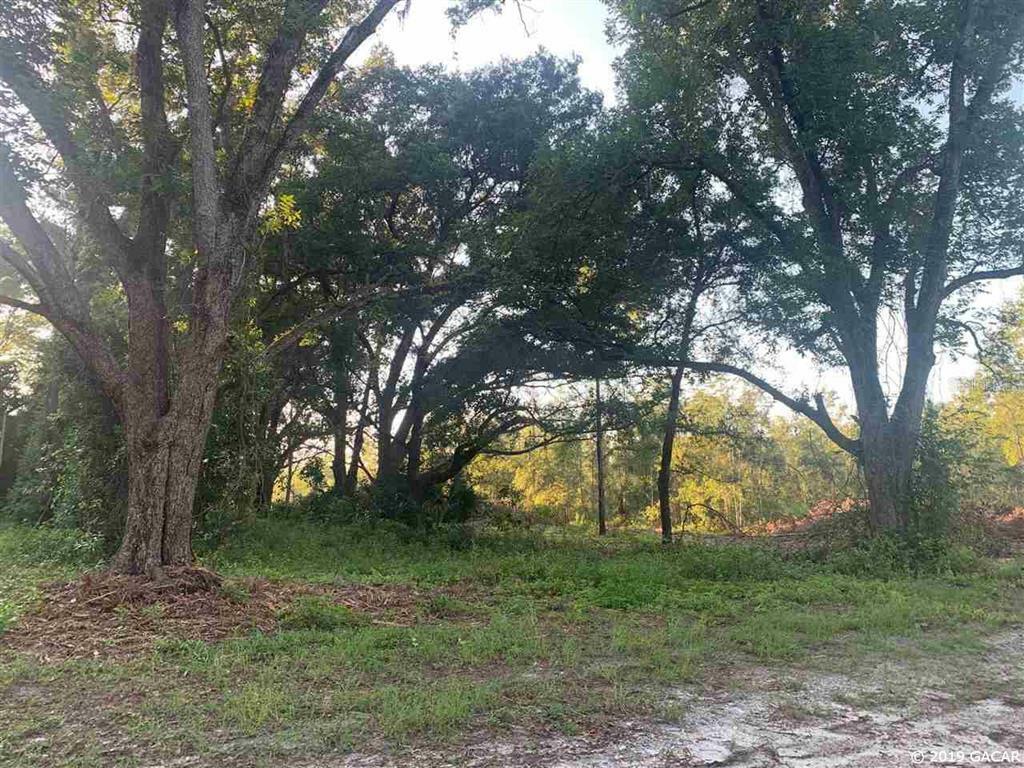 Property Photo:  Parcel 7 NW 234th Street  FL 32615 