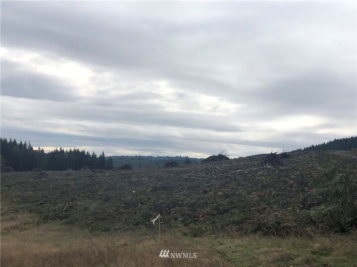 Property Photo: 0 Parcel 1 Mull Road WA 98611