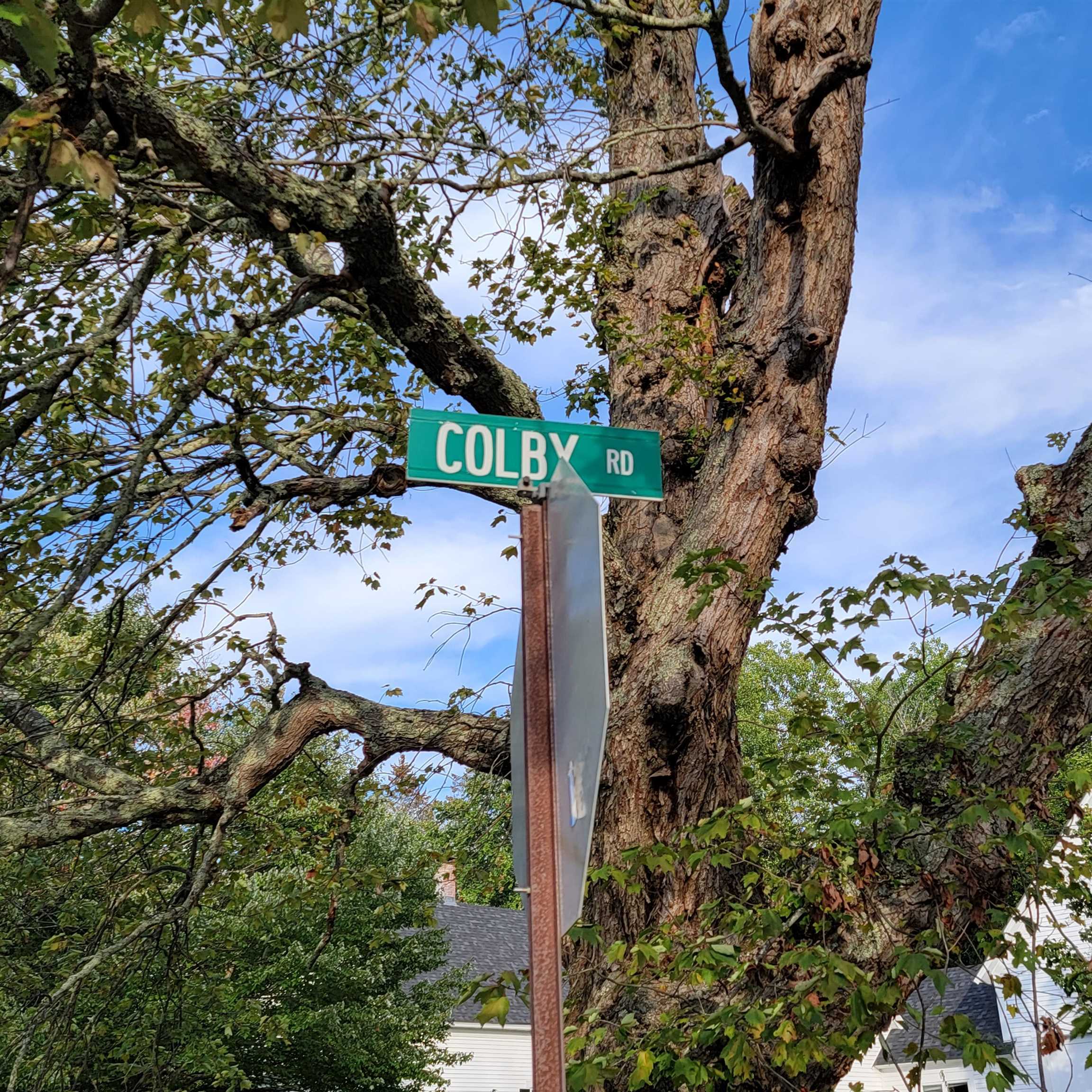 Property Photo: 0 Black Hall Road NH 03234