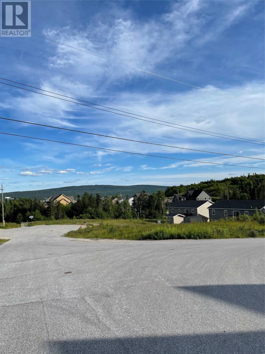 Property Photo:  4 Jacks Place  NL A8A 0B6 
