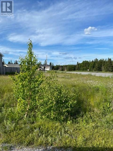 40 Grace Avenue  Deer Lake NL A8A 0B6 photo