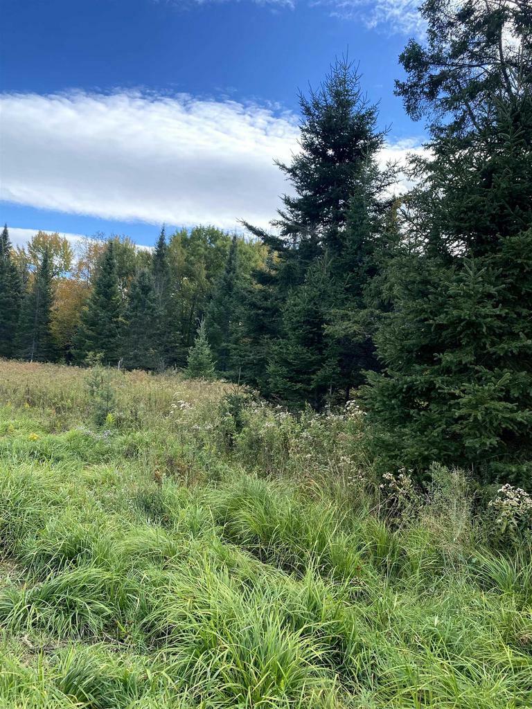 Property Photo:  166363 County Line Road  WI 54452 